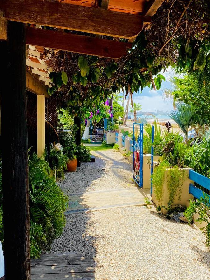 Aruba Sunset Beach Studios Palm Beach Exterior foto